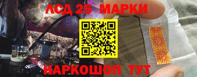 крисы Аргун