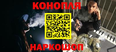 крисы Аргун