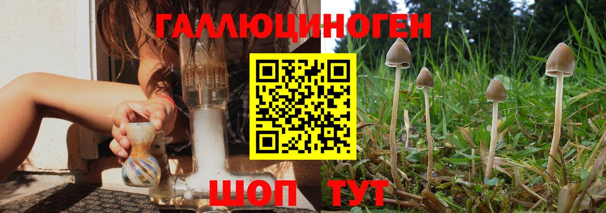 Галлюциногенные грибы Psilocybine cubensis  Вход с VPN  Галлюциногенные грибы Psilocybe  Жуковский 