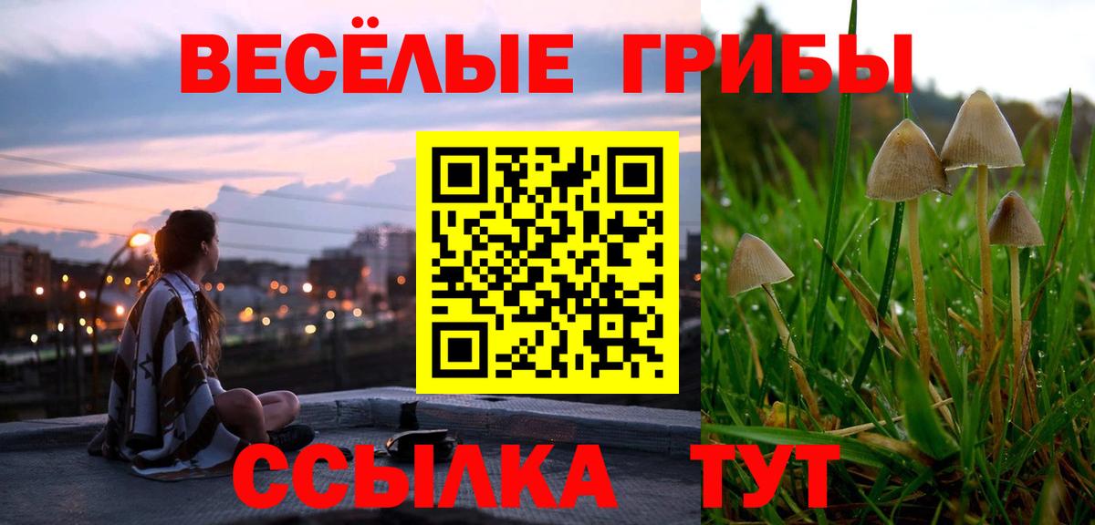 Псилоцибиновые грибы мухоморы Жуковский